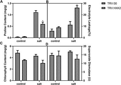 Characterization of hexokinase gene family members in Glycine max and functional analysis of GmHXK2 under salt stress